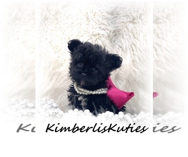 Medium Photo #3  Breeder Profile in LIPAN, TX, USA