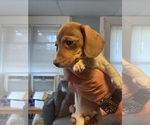 Small #5 Breeder Profile image