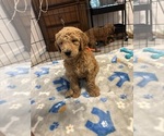 Small #10 Breeder Profile image