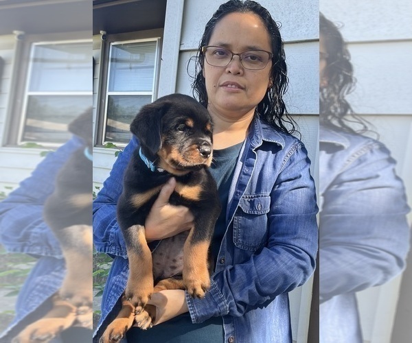 Medium Photo #1  Breeder Profile in TULSA, OK, USA