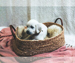 Small #20 Breeder Profile image