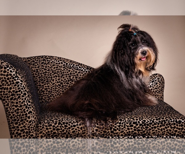 Medium Photo #2  Breeder Profile in CAMPBELL, TX, USA