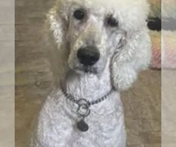 Medium Photo #1  Breeder Profile in DUNNELLON, FL, USA