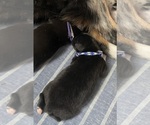 Small #7 Breeder Profile image