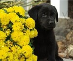Small #2 Breeder Profile image
