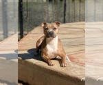 Small #7 Breeder Profile image