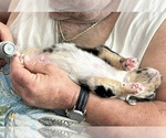 Small #63 Breeder Profile image