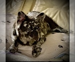 Small #5 Breeder Profile image