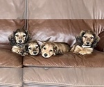 Small #21 Breeder Profile image