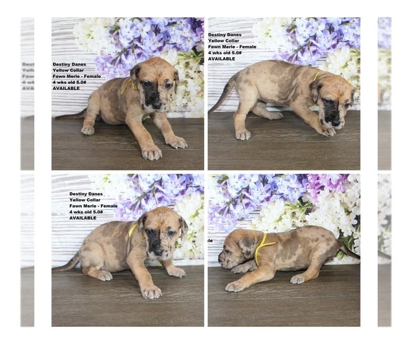 Medium Photo #1  Breeder Profile in GRAND JUNCTION, CO, USA
