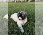 Small #3 Breeder Profile image