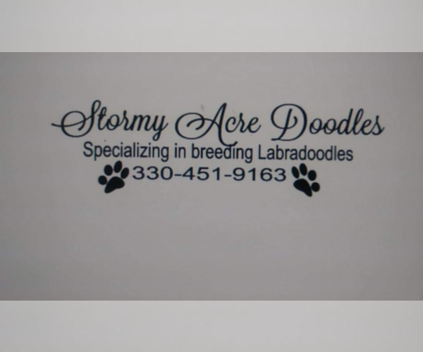 Medium Photo #1  Breeder Profile in ATWATER, OH, USA