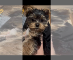 Small #18 Breeder Profile image