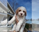 Small #52 Breeder Profile image