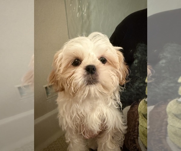 Medium Photo #14  Breeder Profile in HILLSBOROUGH, NJ, USA