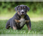 Small #2 Breeder Profile image