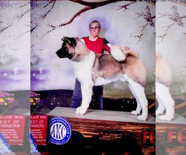 Medium Photo #5  Breeder Profile in COLUMBUS, OH, USA