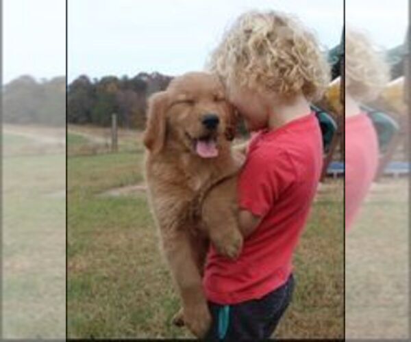 Medium Photo #9  Breeder Profile in MOREHEAD, KY, USA