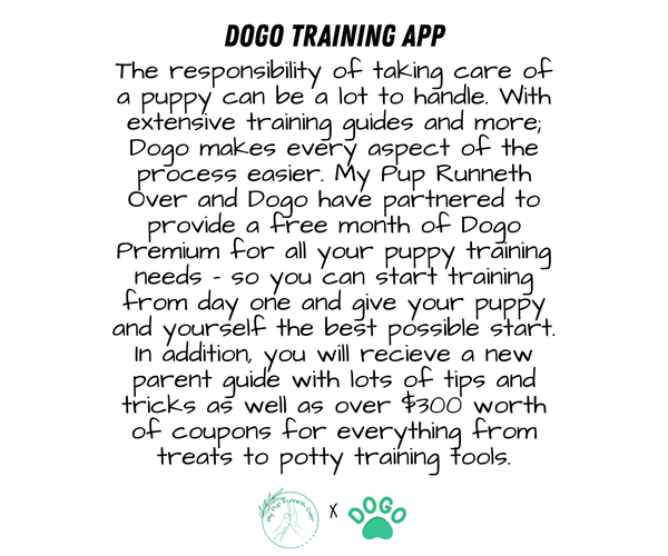 Medium Photo #2  Breeder Profile in GOSHEN, IN, USA