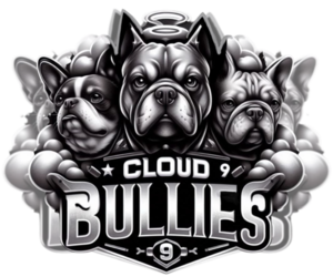 French Bulldog Dog Breeder near LORIS, SC, USA