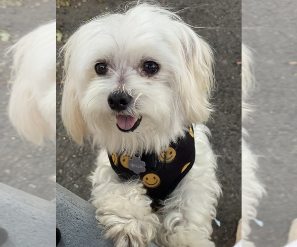 Medium Photo #1  Breeder Profile in VANCOUVER, WA, USA