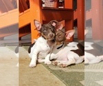 Small #32 Breeder Profile image