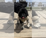 Small #21 Breeder Profile image