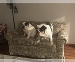 Small #16 Breeder Profile image