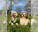 Small #1 Breeder Profile image