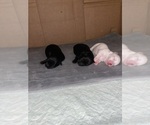 Small #6 Breeder Profile image
