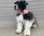 Small #13 Breeder Profile image