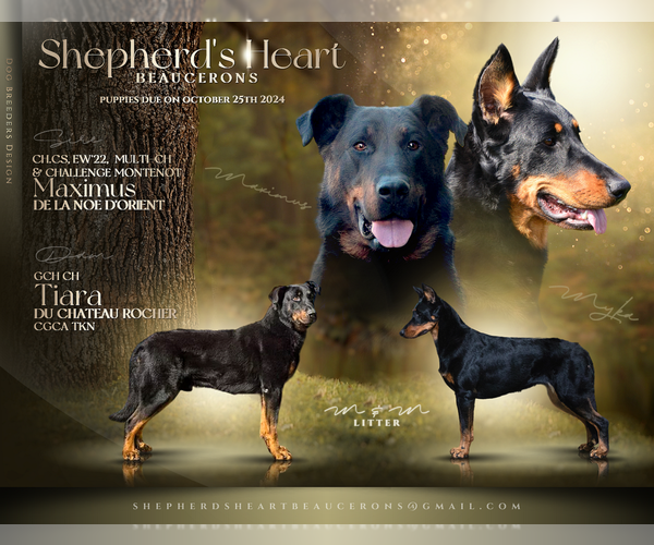 Medium Photo #1  Breeder Profile in DOWNERS GROVE, IL, USA