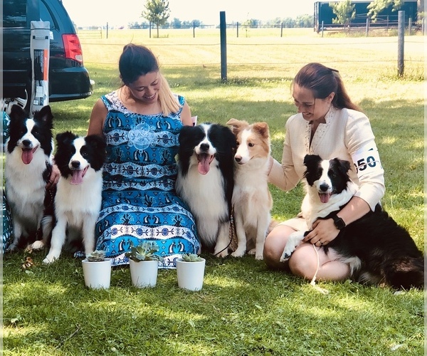 Medium Photo #24  Breeder Profile in BRYANTOWN, MD, USA
