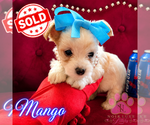 Small #12 Breeder Profile image
