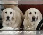 Small #4 Breeder Profile image