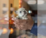 Small #41 Breeder Profile image