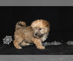 Small #6 Breeder Profile image