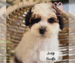 Small #5 Breeder Profile image