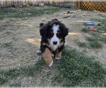 Small #9 Breeder Profile image