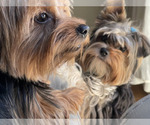 Small #20 Breeder Profile image