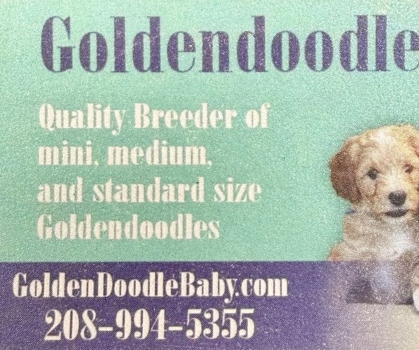 Medium Photo #1  Breeder Profile in BOISE, ID, USA