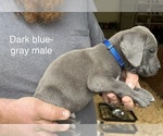 Small #10 Breeder Profile image