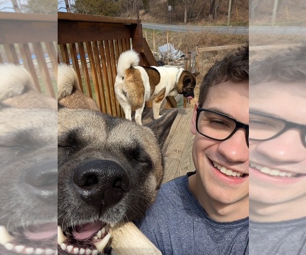 Medium Photo #1  Breeder Profile in MOHRSVILLE, PA, USA