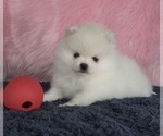Small #16 Breeder Profile image