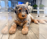 Small #1 Breeder Profile image