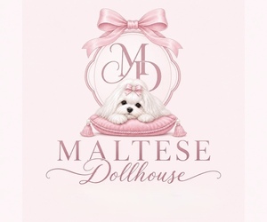 Yorkshire Terrier Dog Breeder near BRANDON, MS, USA
