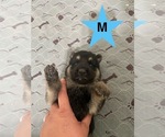 Small #9 Breeder Profile image