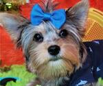 Small #21 Breeder Profile image