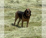 Small #2 Breeder Profile image