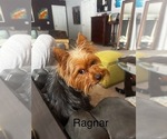 Small #3 Breeder Profile image